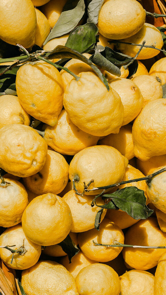 A batch of freshly picked Lemons.