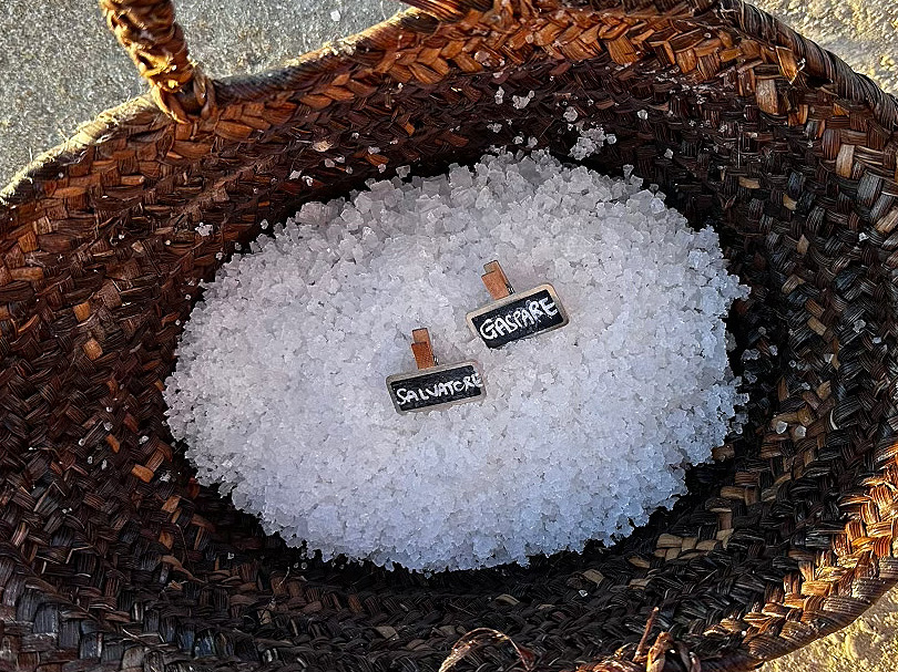Freshly harvested Trapani sea salt.